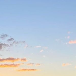 Meet your Posher, Edith